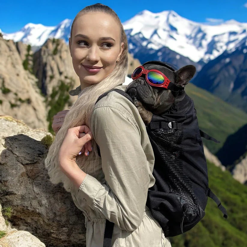 Frenchie Backpack Carrier