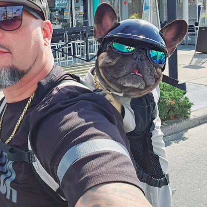 Frenchie Backpack Carrier