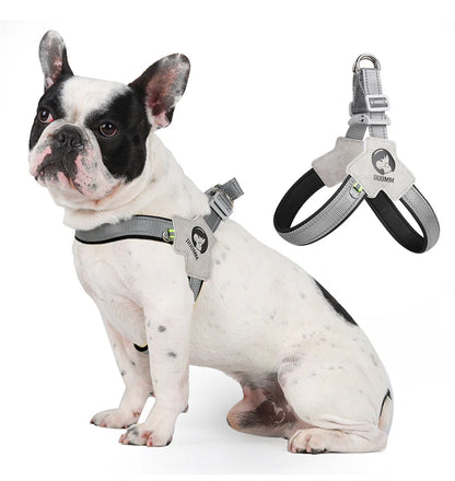 FrenchieGlow Reflective No-Pull Harness