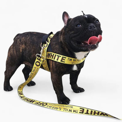 Frenchie Off White Harness & Leash Set