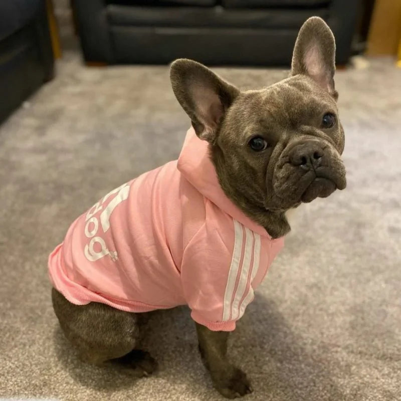 Frenchie Adidog Hoodie