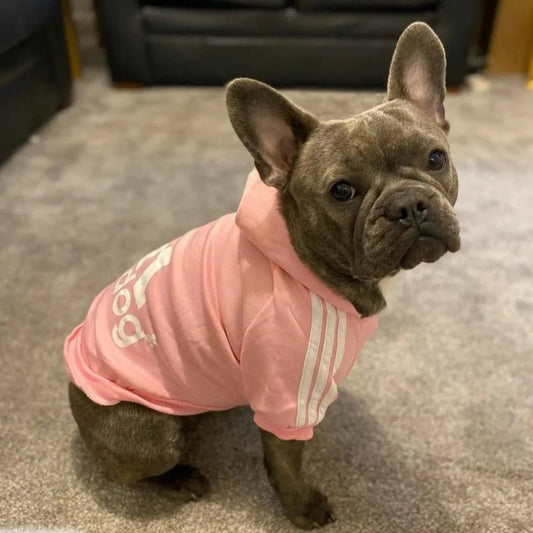 Frenchie Adidog Hoodie