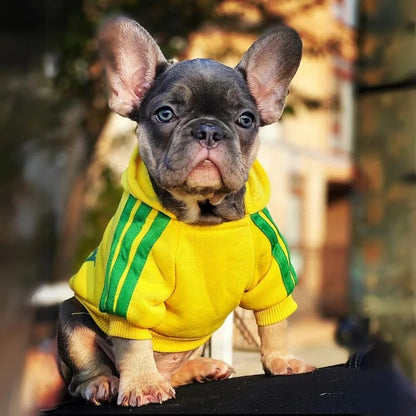 Frenchie Adidog Hoodie