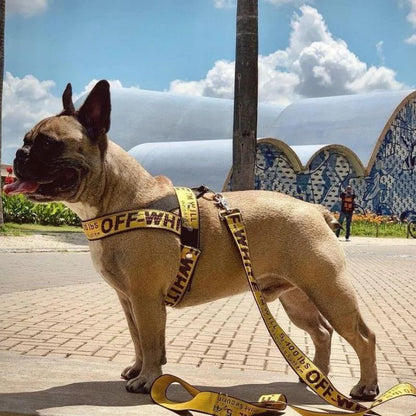 Frenchie Off White Harness & Leash Set