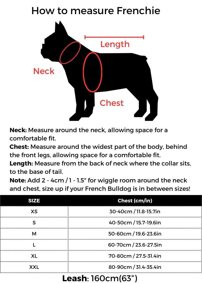 Frenchie Off White Harness & Leash Set