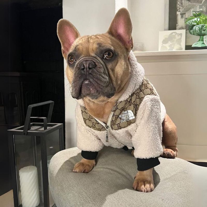 Luxury GG Dog Face Jacket.