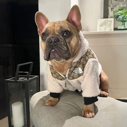 Luxury GG Dog Face Jacket.