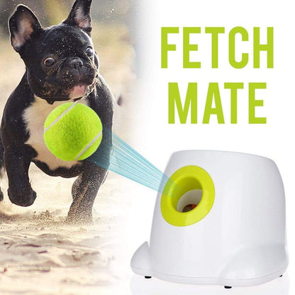 Automatic Ball Launcher for Dogs