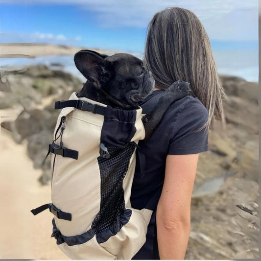 Frenchie Backpack Carrier