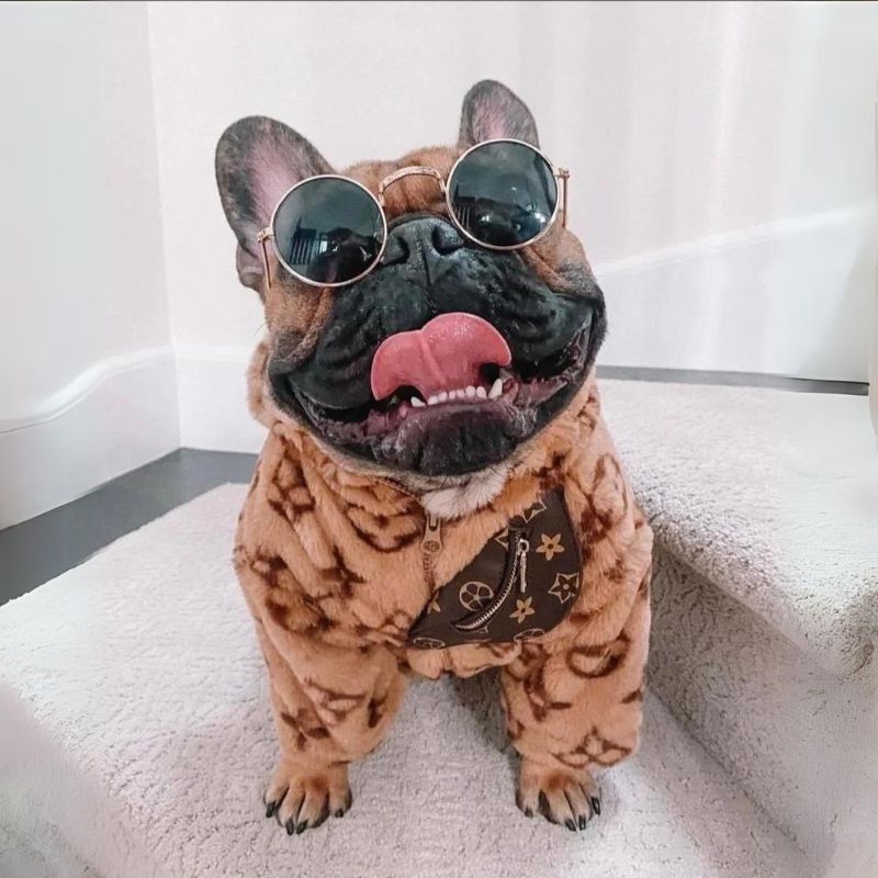 Chewy V Faux Fur Frenchie Coat