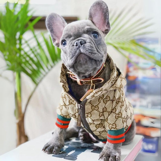 Stylish Frenchie Hoodie