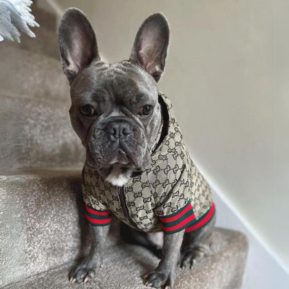 Stylish Frenchie Hoodie