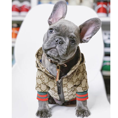 Stylish Frenchie Hoodie