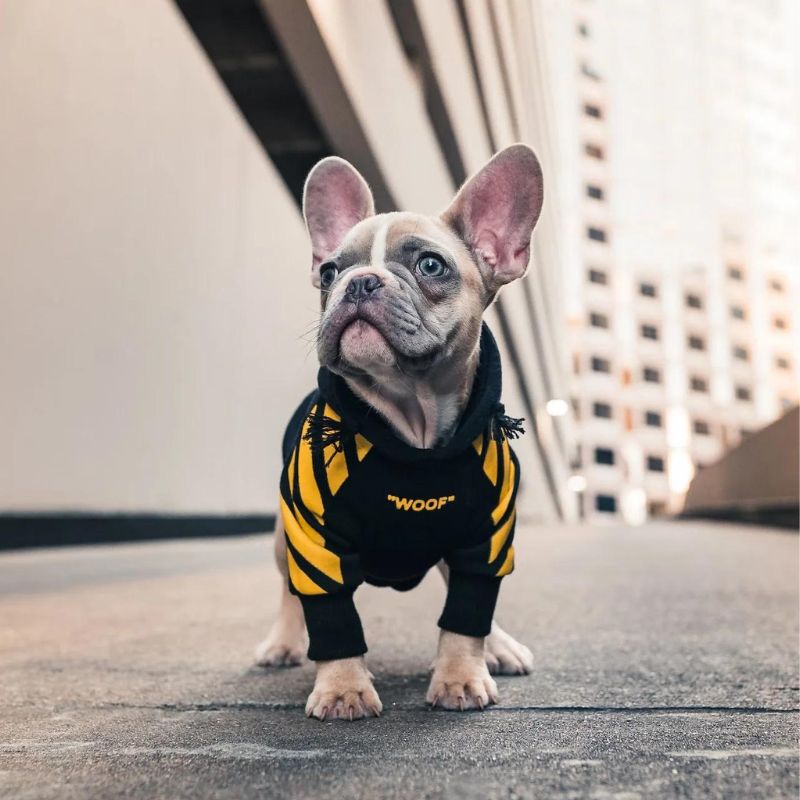 Woof Frenchie Hoodie