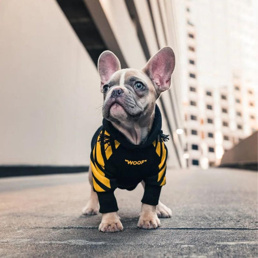Woof Frenchie Hoodie