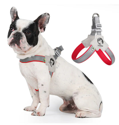 FrenchieGlow Reflective No-Pull Harness