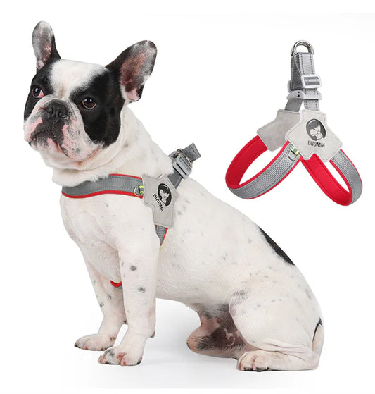 FrenchieGlow Reflective No-Pull Harness