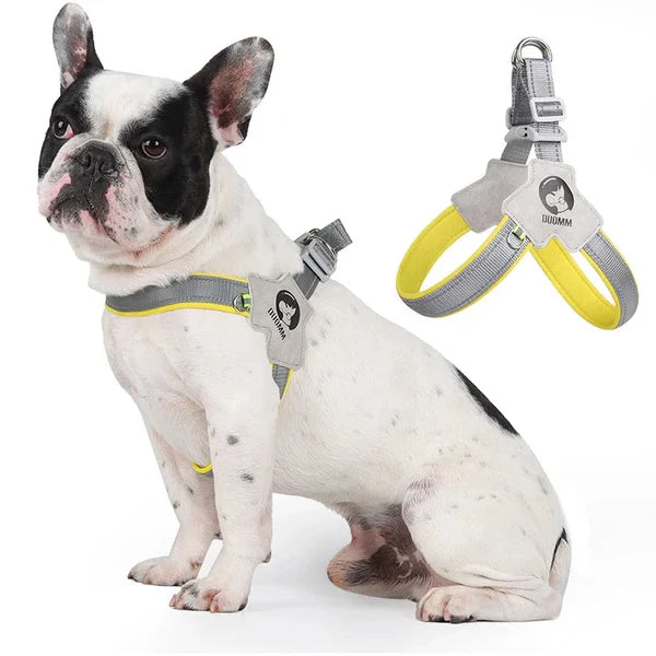 FrenchieGlow Reflective No-Pull Harness