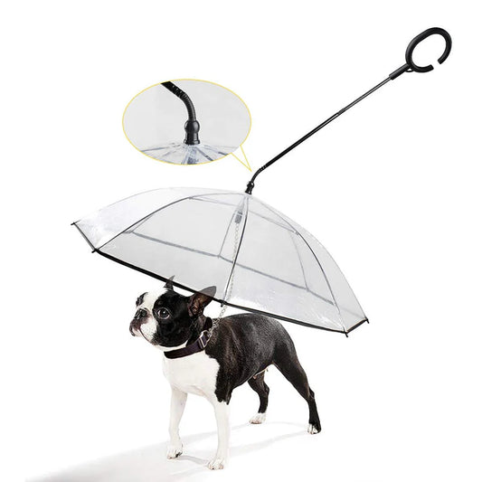 Frenchie Umbrella With Leash