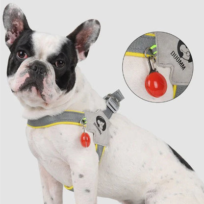 FrenchieGlow Reflective No-Pull Harness