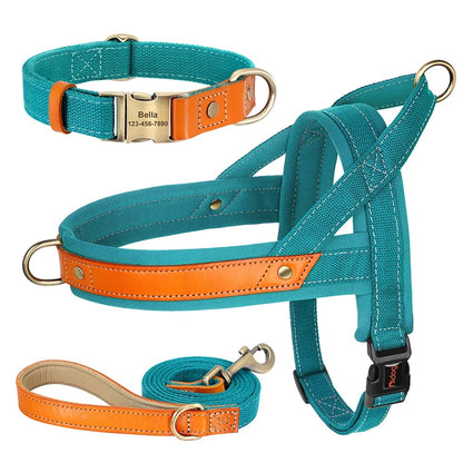 The Frenchie No-Pull Harness Set