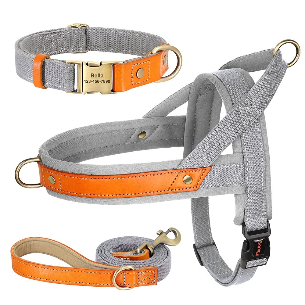 The Frenchie No-Pull Harness Set