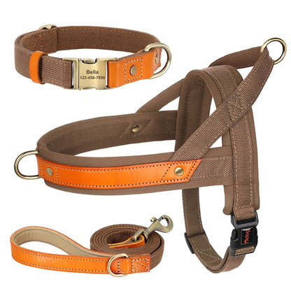 The Frenchie No-Pull Harness Set