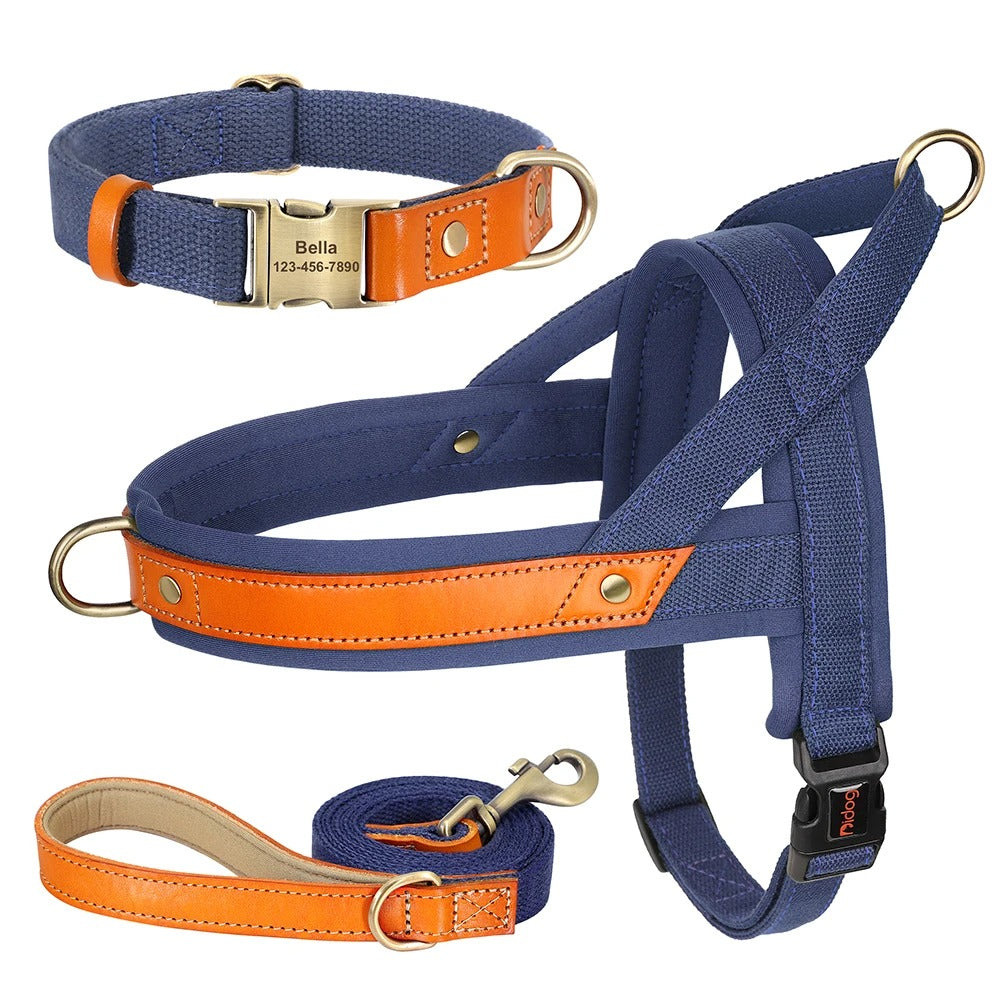 The Frenchie No-Pull Harness Set