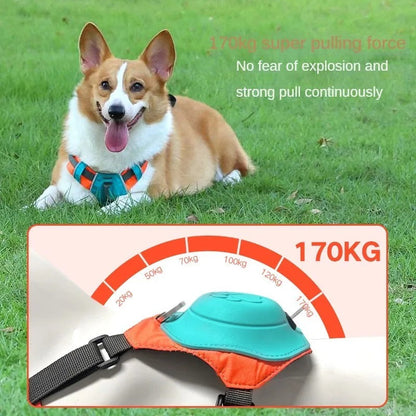 2-in-1 Retractable Leash Harness