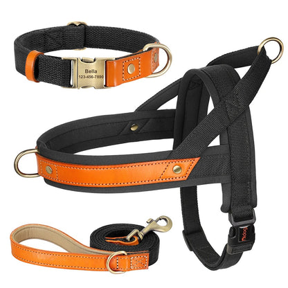 The Frenchie No-Pull Harness Set