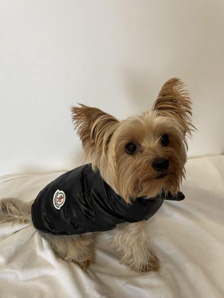 Monck Yorkie Vest Jacket