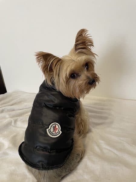 Monck Yorkie Vest Jacket