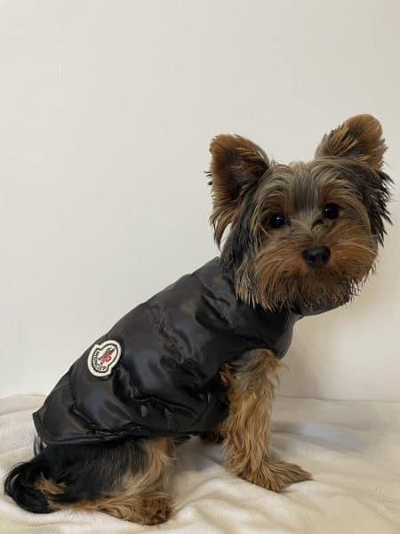 Monck Yorkie Vest Jacket