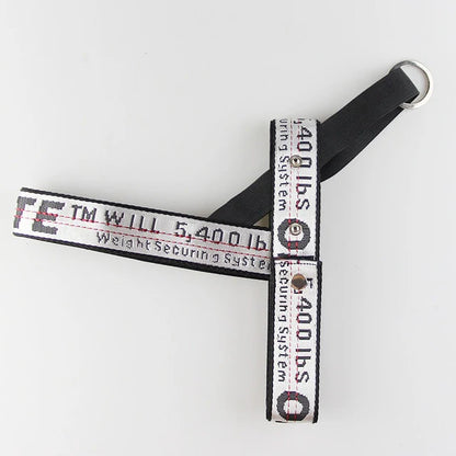 Frenchie Off White Harness & Leash Set