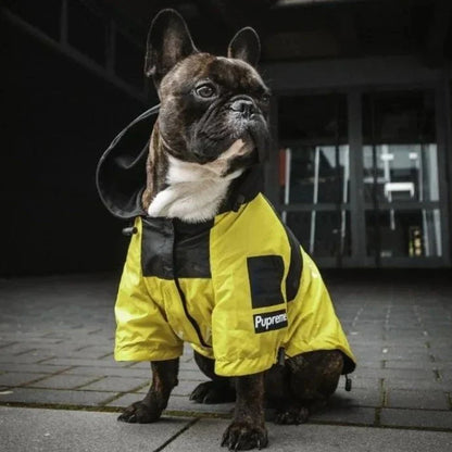 Frenchie Pupreme Windbreaker